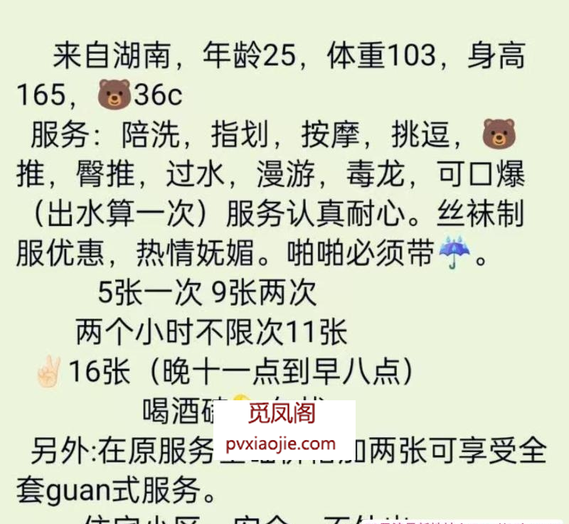高新九儿
