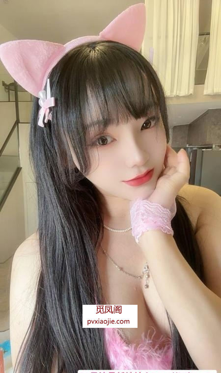 普陀小野猫