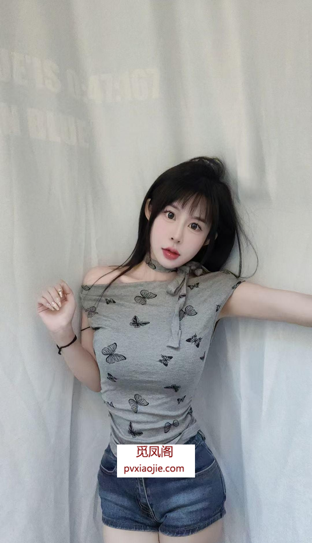 呼市小团团