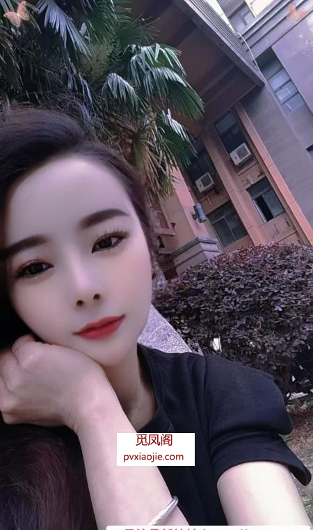 包河小夜猫