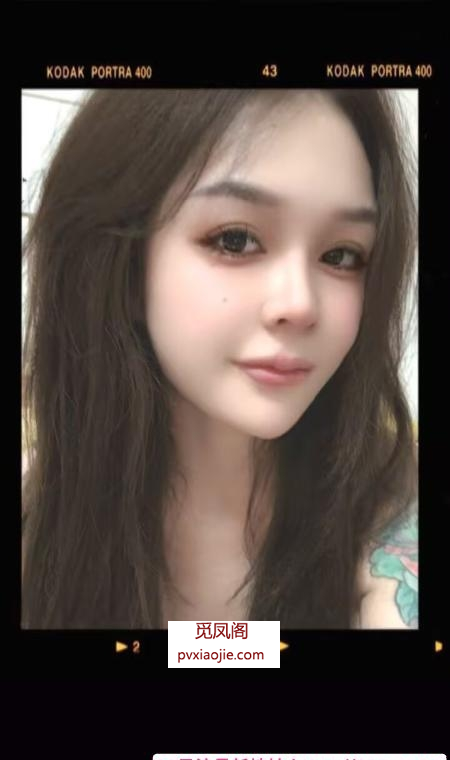 颜值小花猫