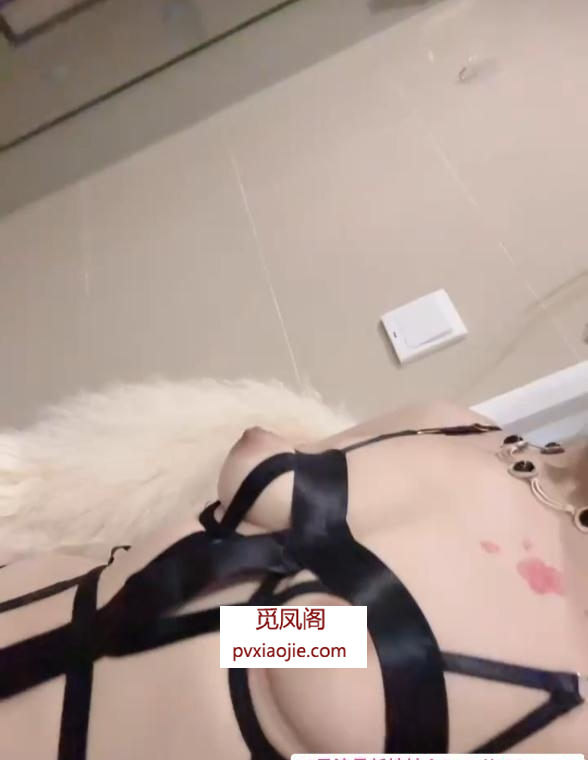 新区姗姗