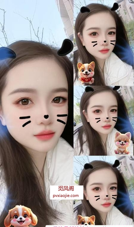 庐阳少妇
