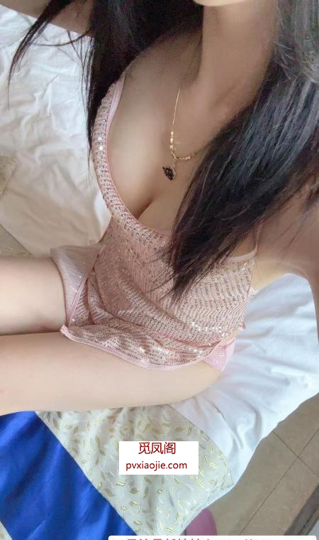 广州花都燕子