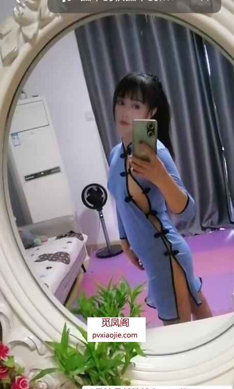 芙蓉小野猫