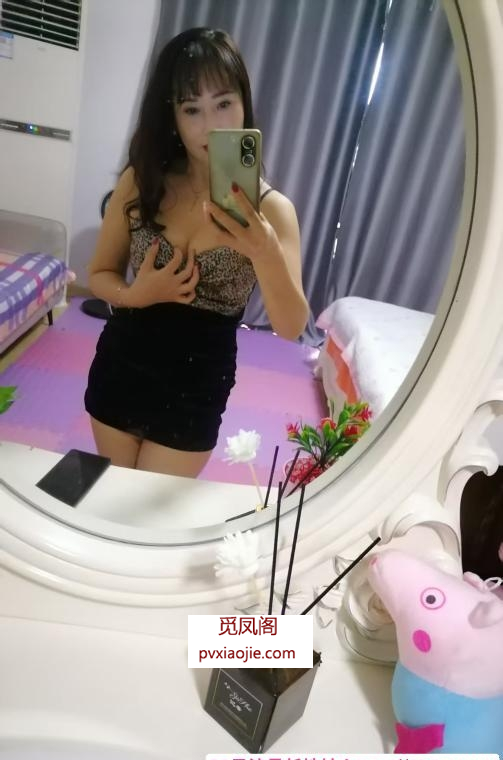 芙蓉小野猫
