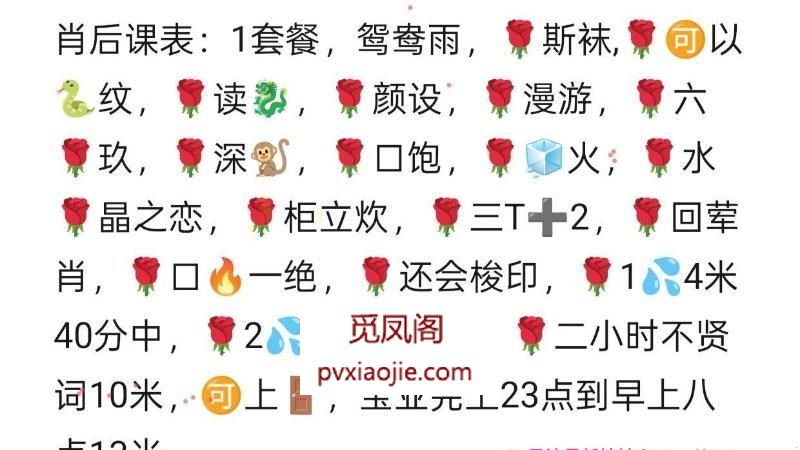 南京楼凤肖后
