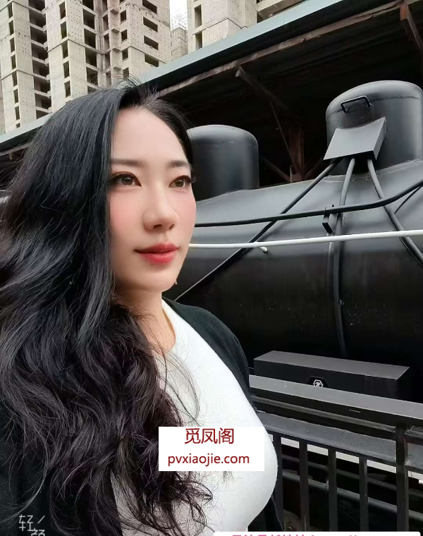 丰台长腿骚少妇