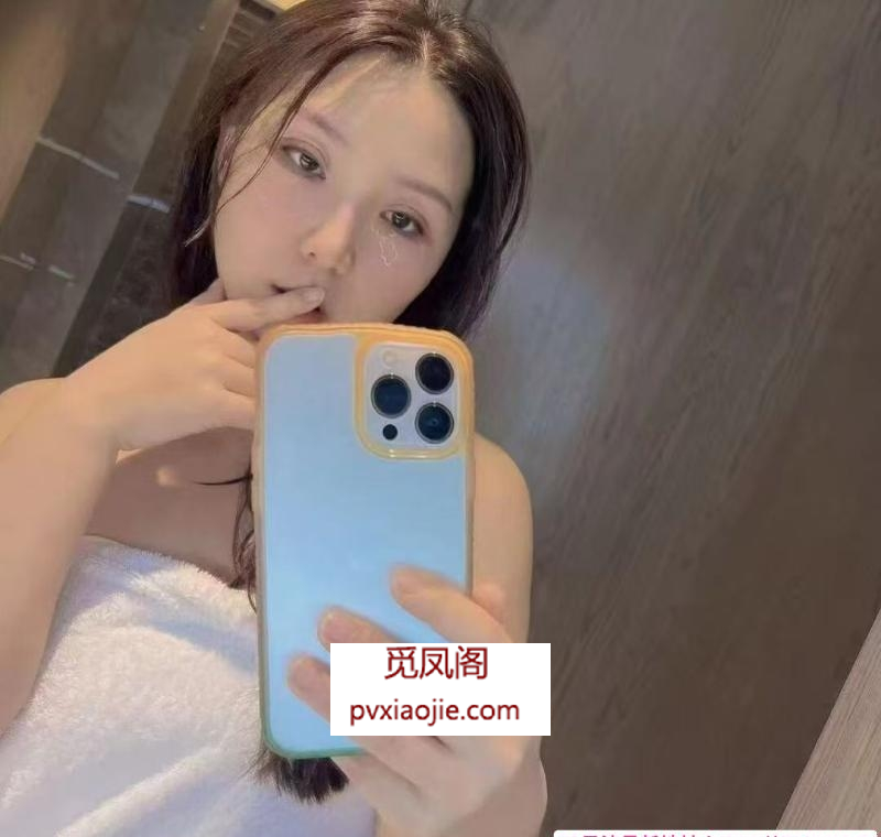 铁西小妲己