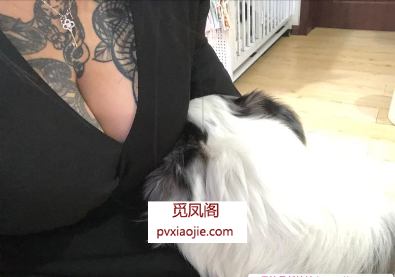 即墨纹身小坦克