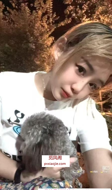 铁西糖糖