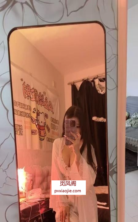 铁西娃娃脸小骚女