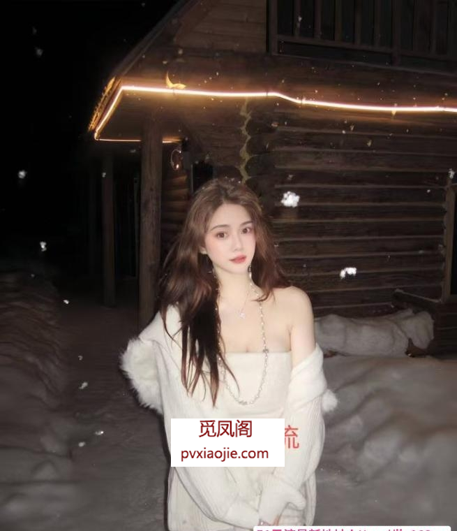 上城情趣女王