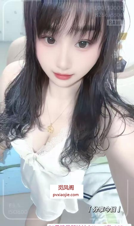 长春小笨鸡