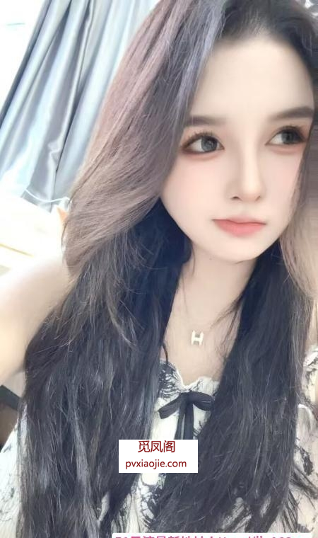 成都西门小奶猫