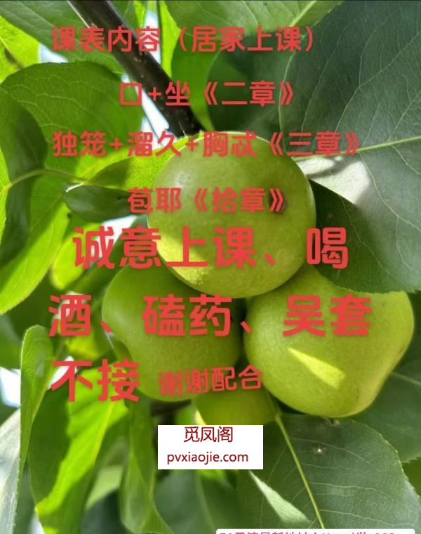 新吴少妇小晓