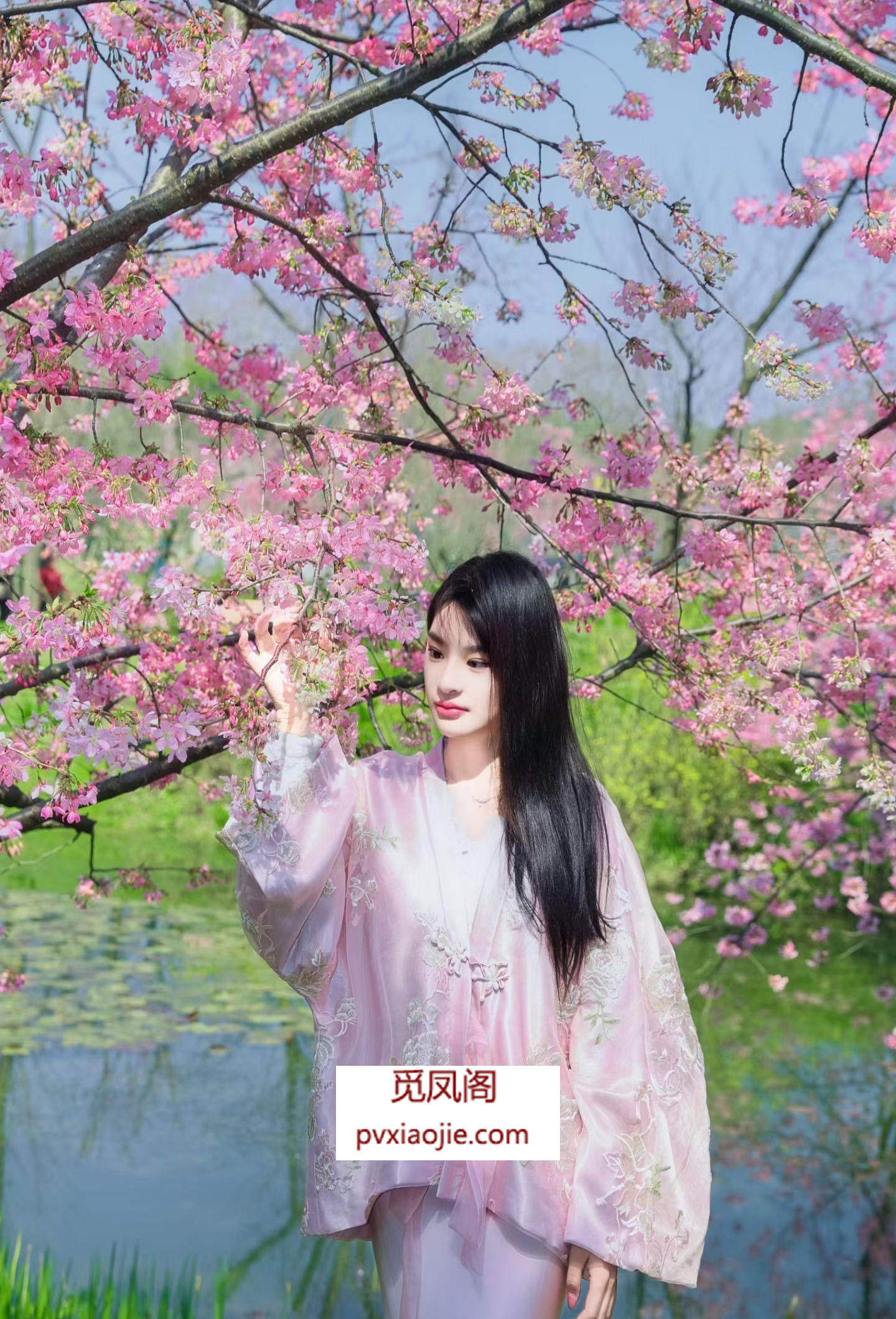 普陀服务性小姐姐