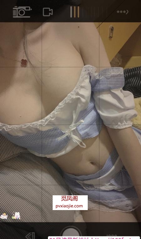 好看又可爱的小蝶回归