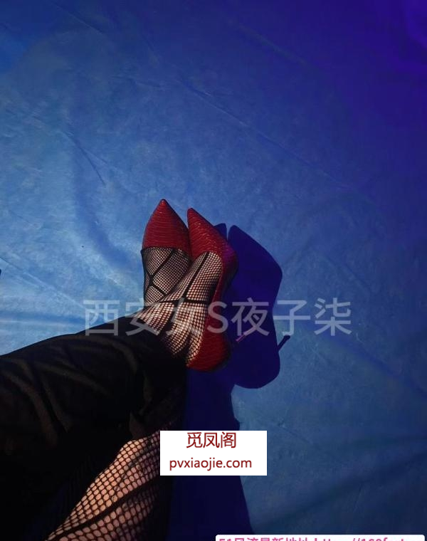 西安bbw子柒女王