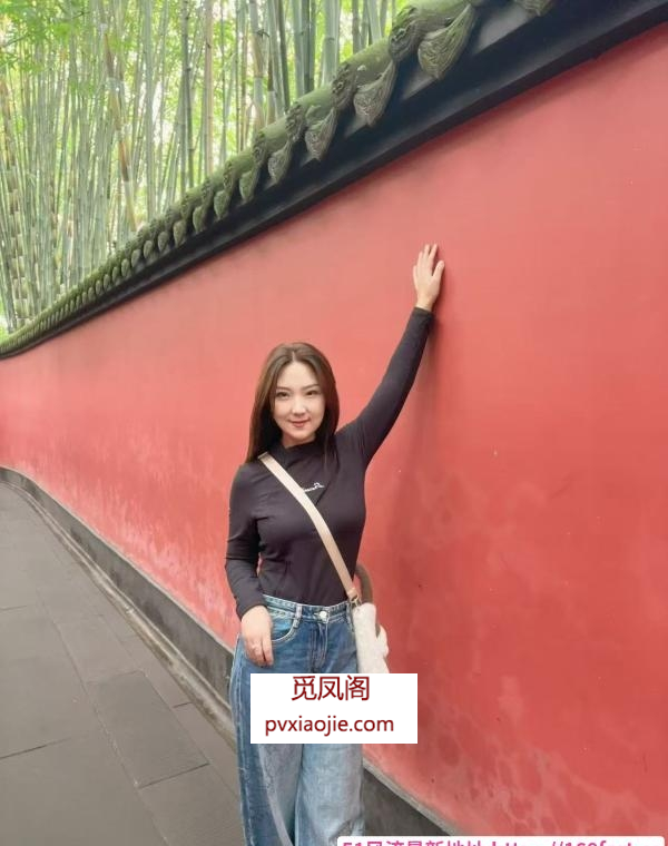 铁西小妲己